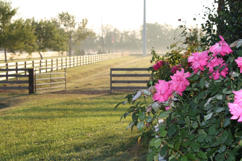 Circle "C" Ranch