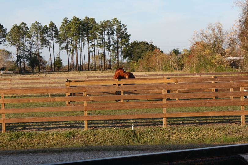 Circle "C" Ranch