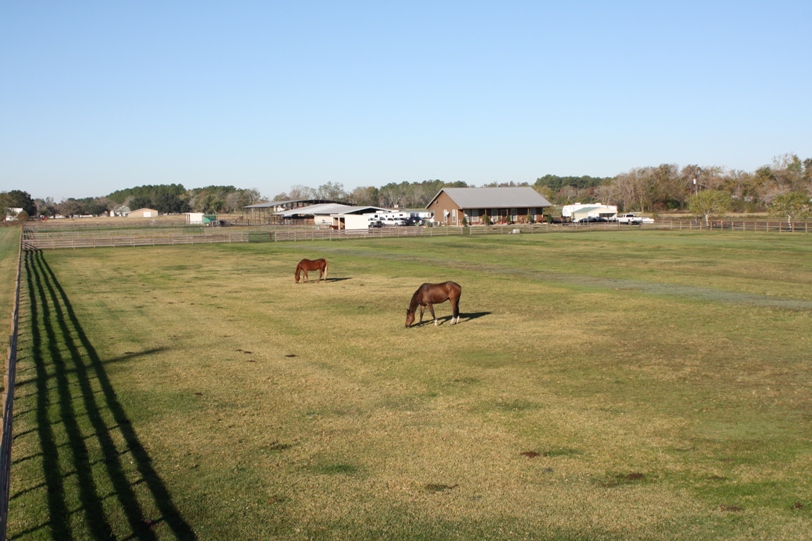 The Ranch